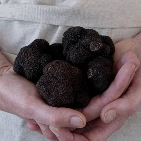 Fresh, Organic Black Truffle
