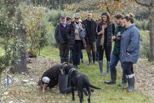 Group truffle hunt with Jax and Freddy the truffle dog